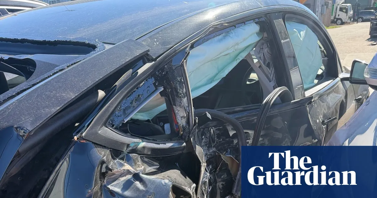 Labor MP Ed Husic taken to hospital with fractures and concussion after car crash