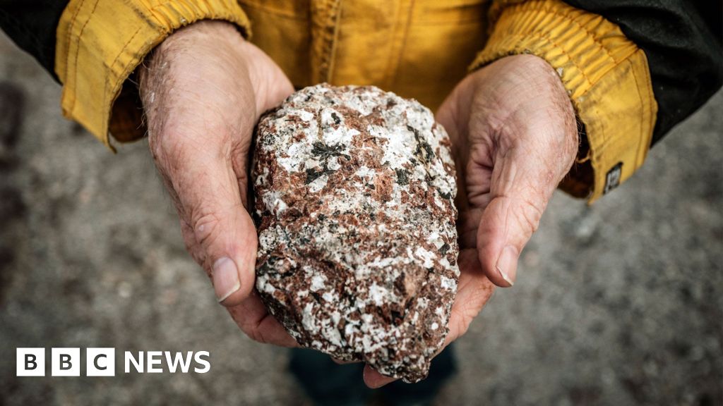 Trump says Greenland framework includes mineral rights. What minerals does the island have?